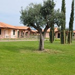 LAST MINUTE APPARTAMENTO SETTIMANA MAGGIO € 300