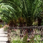 PRENOTA PRIMA VACANZEMAREMMA 2019