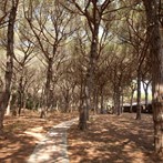 PRENOTA PRIMA VACANZEMAREMMA 2019