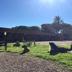 Una fuga dalla città e scoprire il Parco della Maremma tra campagna e mare