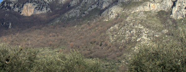 Molise