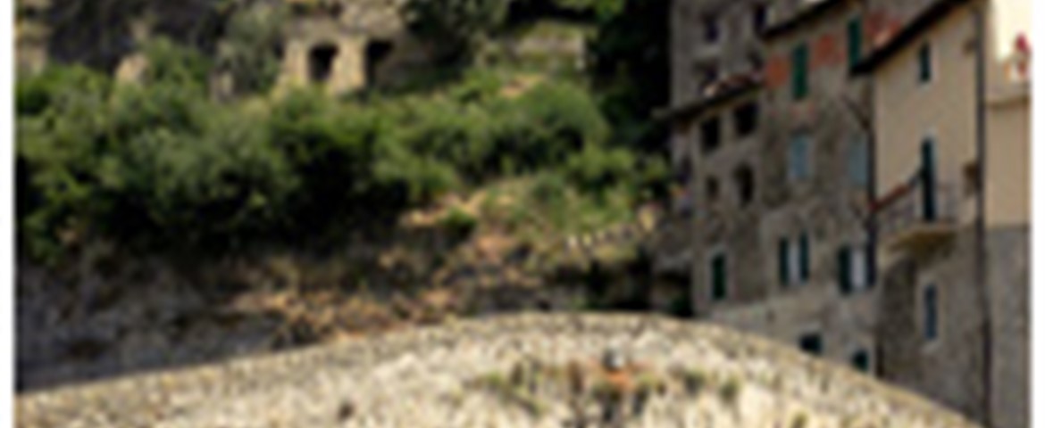 LONDRINO APARTMENTS
