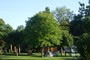 MONTEQUESTIOLO CAMPING