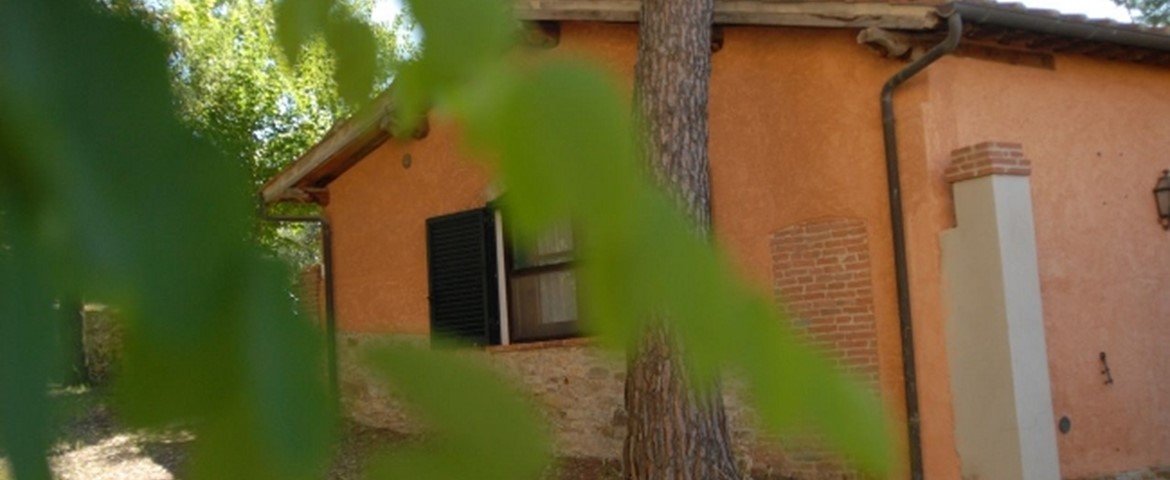 TENUTA DI VIGNALE
