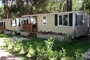BADIACCIA CAMPING VILLAGE