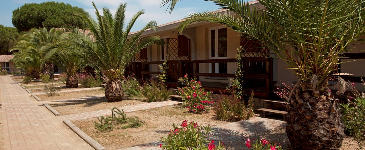 PRENOTA PRIMA  VACANZEMAREMMA 2019