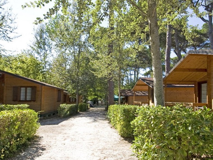 Campeggio Bosco Verde