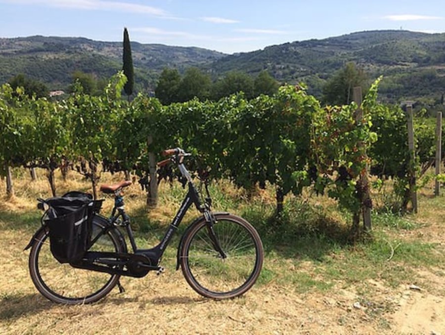 Agriturismo Fattoria di Poggiopiano