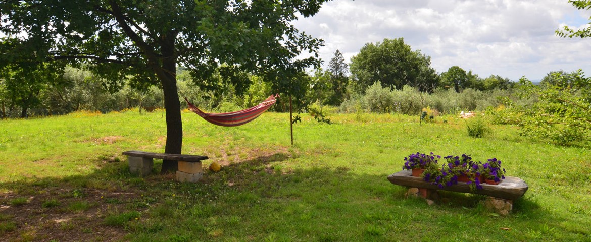 LA CASA NELL'AIA