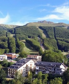 LE POLLE