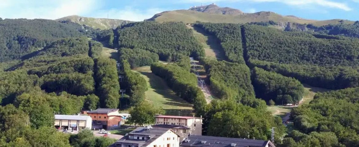 LE POLLE