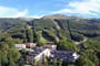 LE POLLE