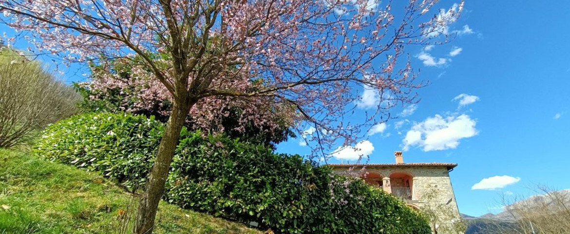 BEB LA COLLINA DEI FRANCHI