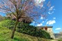 BEB LA COLLINA DEI FRANCHI