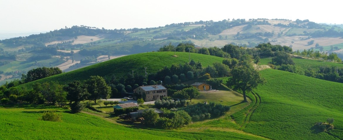 PODERE DEL FAGIANO