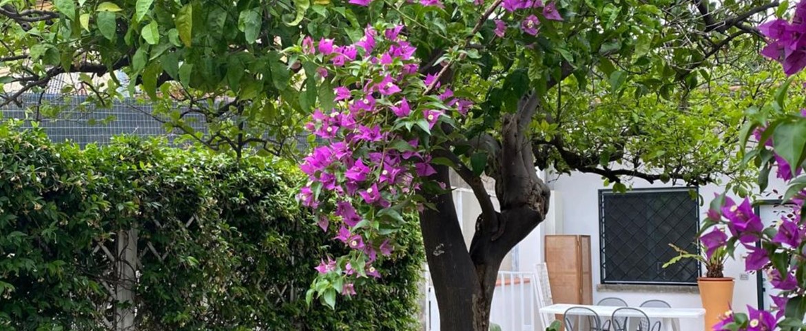 VILLA BIANCA BED AND BREAKFAST