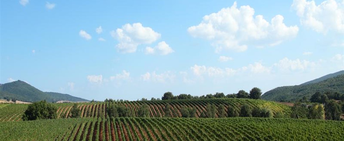 AGR. LA ROCCA DEI BRIGANTI